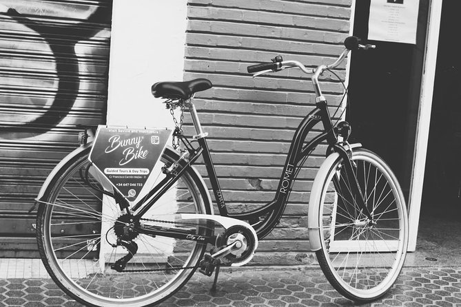 1 Day Bike Rental in Seville city - The value of a full day for $18