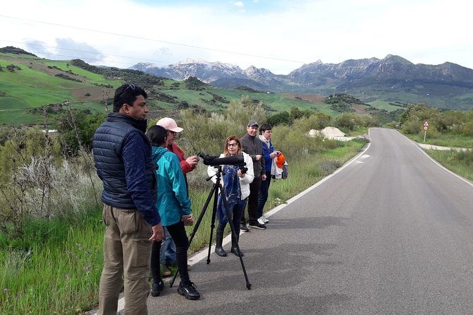 1 Day Excursion to White Villages and Ronda - Molino El Vínculo and the olive oil tradition