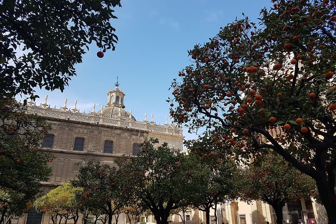 2h30 Private Walking Tour of Seville with Local Guide - A smart first look at Seville in 2.5 hours