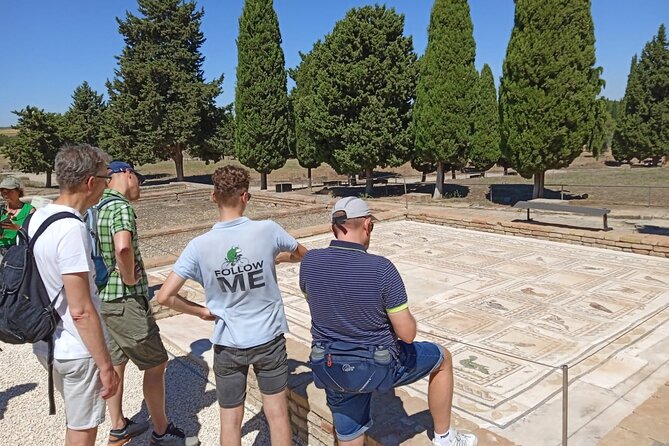 5 hour Electric Bike Tour to the Ruins of Italica - Why Italica is worth the pedal from Seville