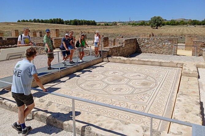 5 hour Electric Bike Tour to the Ruins of Italica - Santiponce and the short coffee break
