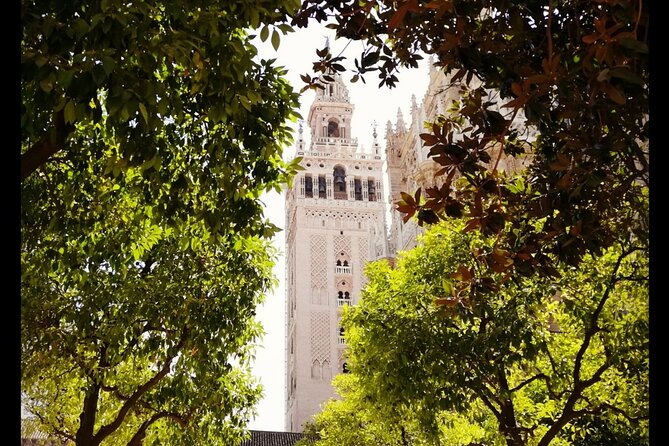 Alcazar and Cathedral of Seville Private Tour - Inside the Royal Alcázar in 90 minutes
