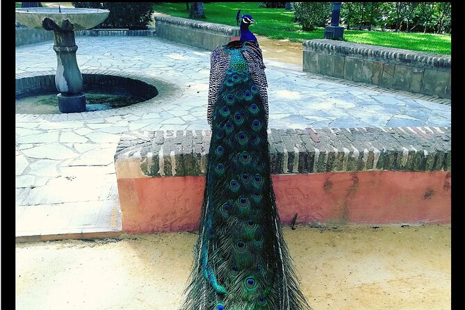 Alcazar and Cathedral of Seville Private Tour - Is the $241.97 group price good value?