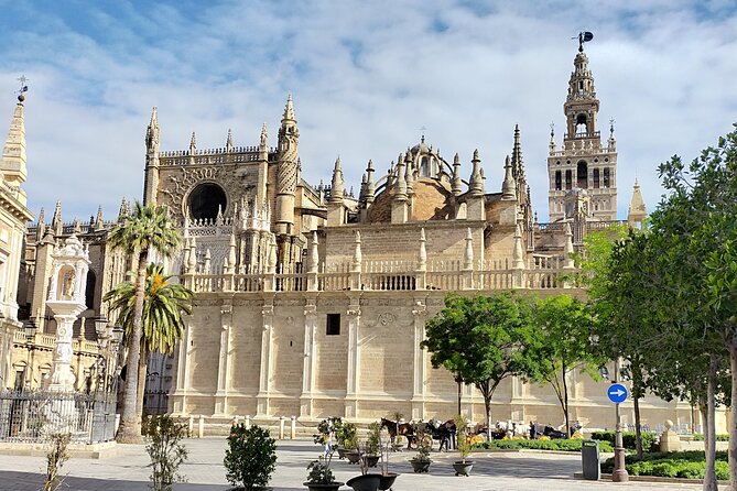 Alcazar and Cathedral, the must-sees, private tour. - Language, pace, and who will enjoy it