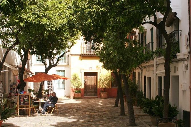 Alcázar and Jewish Quarter Guided Walking Tour in Seville - Walking distance, group size, and practical comfort