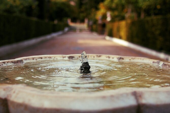 Alcazar & Cathedral of Seville Private Guided Tour - Timing, pace, and what to expect on the day