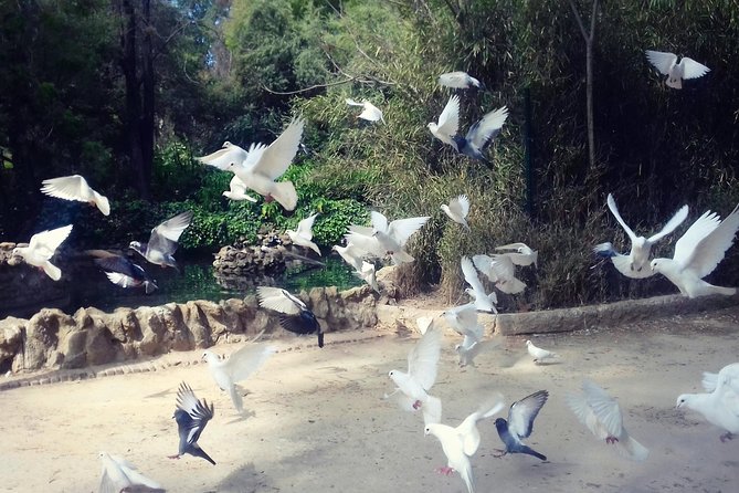 Alcazar, Cathedral, Plaza De España And Maria Luisa Park Private Tour - A smart route through Seville’s essential sights