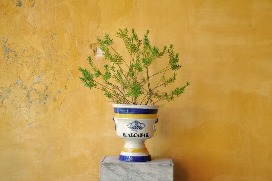 Alcázar of Seville Skip-the-Line Tickets and Guided Tour - The gardens: allow time after the tour