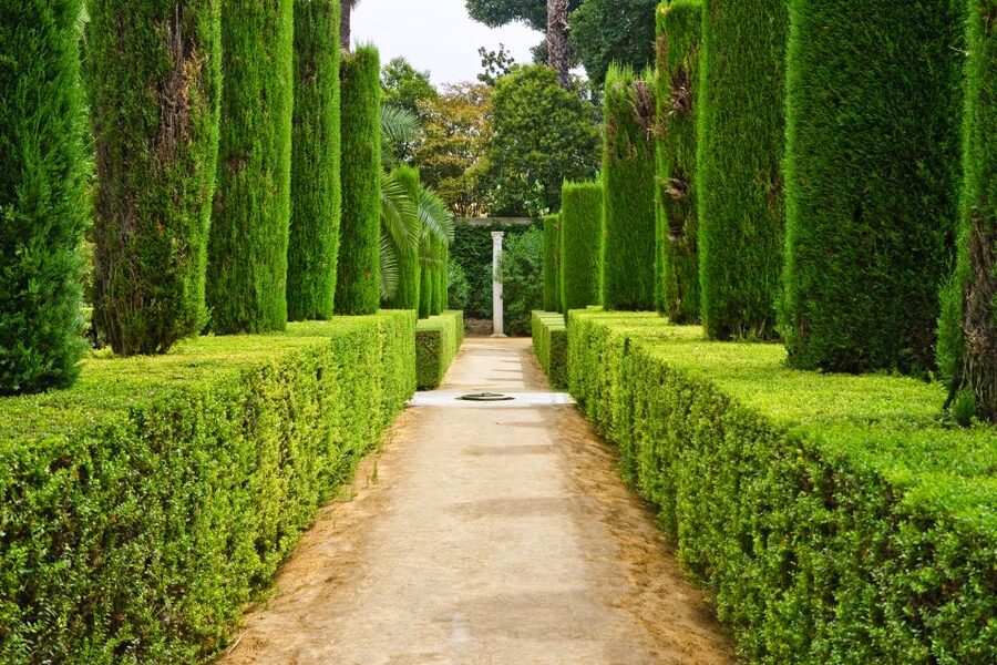 Alcazar of Seville VIP Tour - Why the Alcazar deserves a guided visit