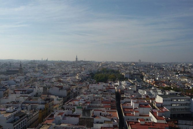 Alcázar tour and roof tour - The private format and guide experience