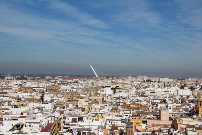 Alcázar tour and roof tour - Who will get the most from this Alcázar tour?