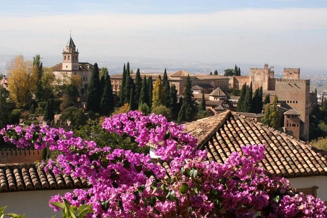 Alhambra Guided Tour & Albaicin Tour from Seville - Palace of Charles V and the Christian chapter