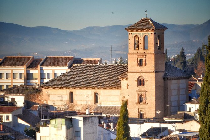 Alhambra Private Tour & Nazaries Palaces from Seville with Pickup - The private driver and guide setup