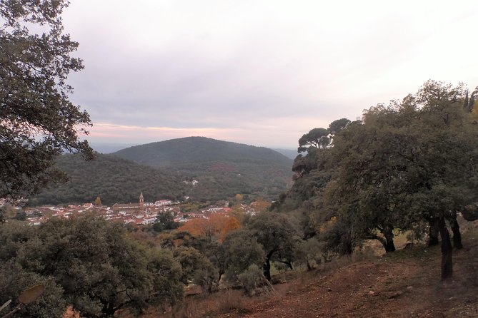 Aracena & Riotinto Mines Tour from Seville - Riotinto, red earth, and mining country