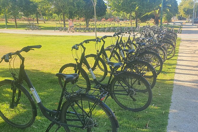 Bike Rental per Day in Seville - Key points before you book