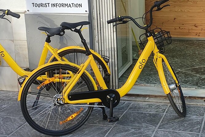 Bike Rental per Day in Seville - Why a bicycle fits Seville so well