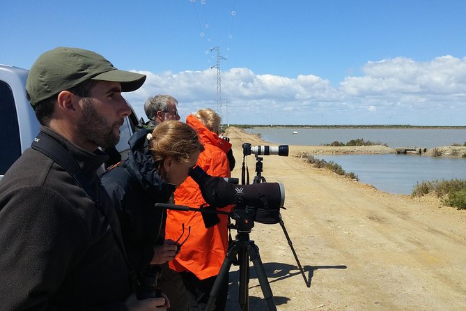 Birding & Photography Day Trip to Doñana from Seville - Marshes, pine woods, and rice paddies