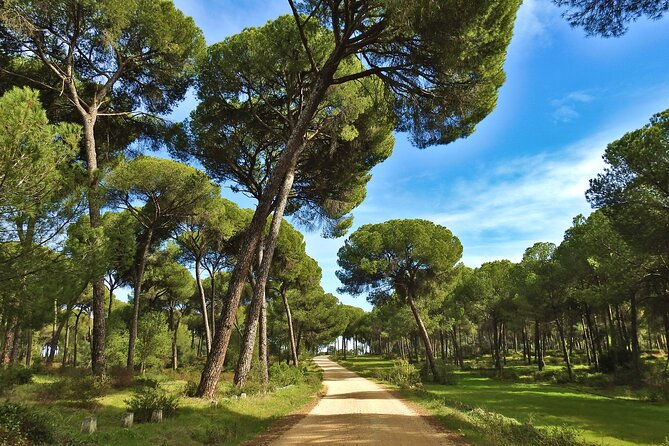 Birding & Photography Day Trip to Doñana from Seville - Booking, cancellation, and who should choose it