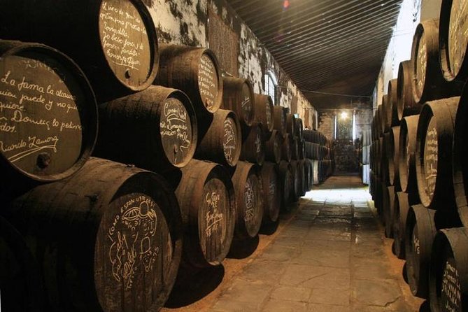 Cadiz and Jerez Day Trip from Seville - What the price of $119.48 buys you