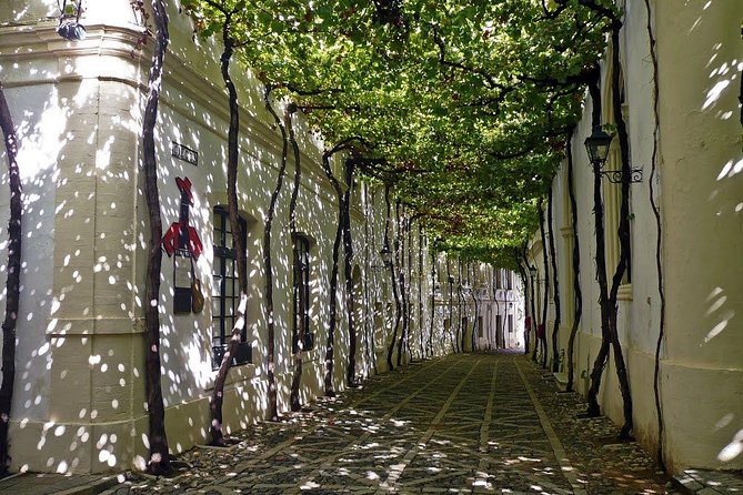 Cadiz and Jerez Day Trip from Seville - Who will enjoy this combined excursion