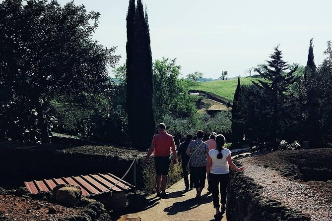 Carmona and Necropolis: Guided Day Tour from Seville - The guide makes the difference