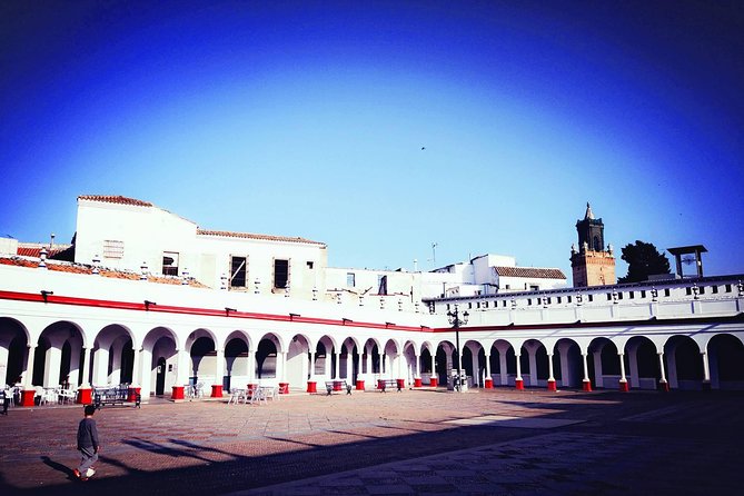 Carmona and Necropolis: Guided Day Tour from Seville - What the price of $58.87 covers