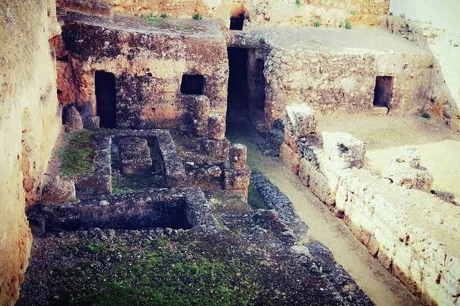 Carmona and Necropolis: Guided Day Tour from Seville - Timing, pickup, and walking conditions
