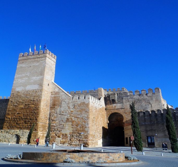 Carmona and Necropolis Tour from Seville - Guide quality and language choices