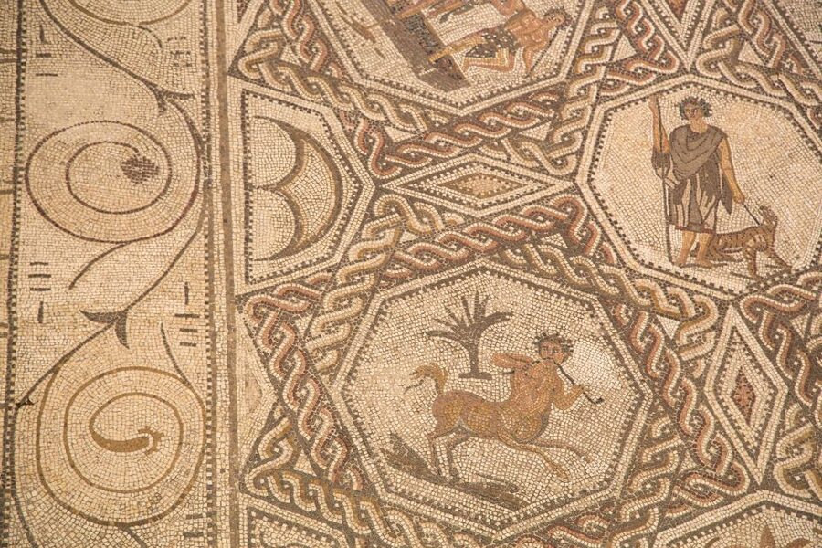 Casa de Salinas Entry Ticket with Audio Guide - The Roman mosaic with Bacchanalian scenes