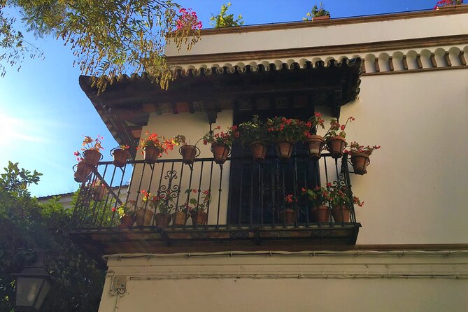 Classic Private Tour of Seville - Who should book this tour?