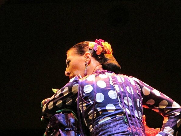 Combined ticket: Puro Flamenco Show + Flamenco Museum visit - Key points to know before booking