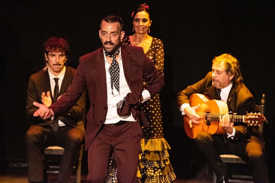 Combo: Hop on hop off + Flamenco Show & Walking tours - Starting at Torre del Oro