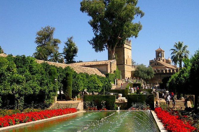 Cordoba Guided Tour Mosque and Cathedral from Seville - The journey from Seville, including possible Carmona stop