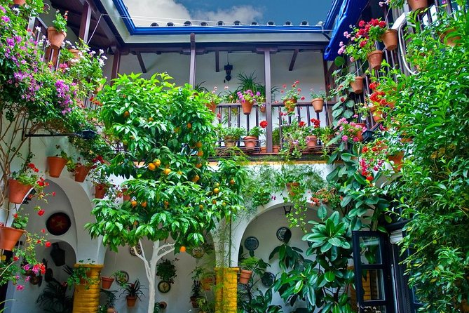 Cordoba Guided Tour Mosque and Cathedral from Seville - Is $119.77 a fair price?