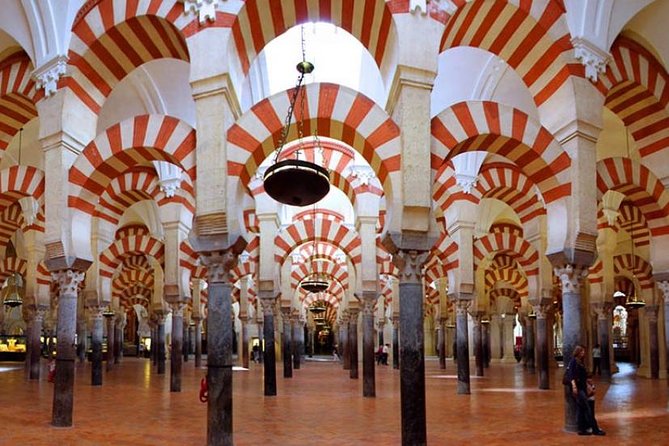 Cordoba Highlights: Guided Day Tour from Seville - From Seville to Córdoba through olive country
