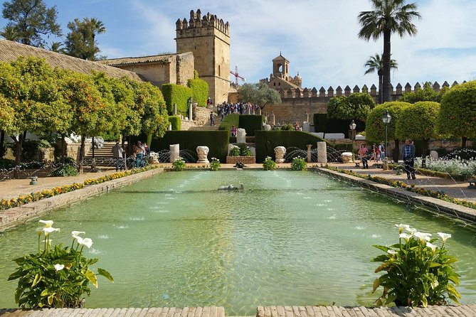 Cordoba Highlights: Guided Day Tour from Seville - Free time for lunch, shopping, and a second look