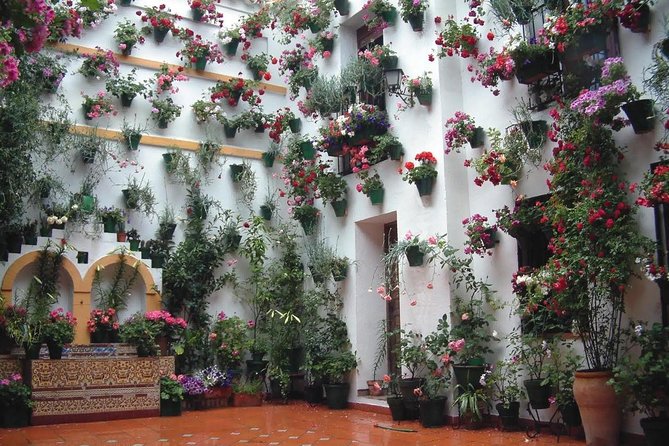 Cordoba Highlights: Guided Day Tour from Seville - Practical details that affect the day