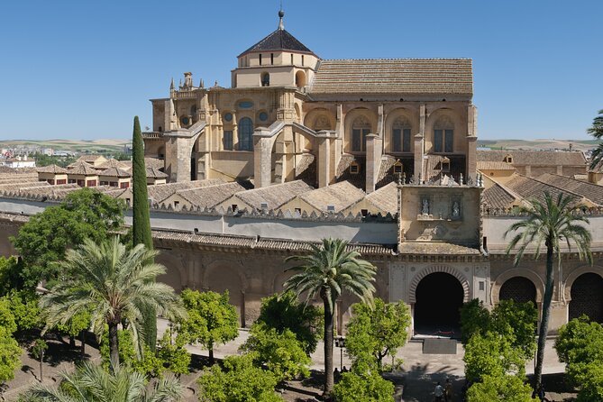 Cordoba Private Daytrip from Sevilla by Train - Lunch advice and 75 minutes on your own