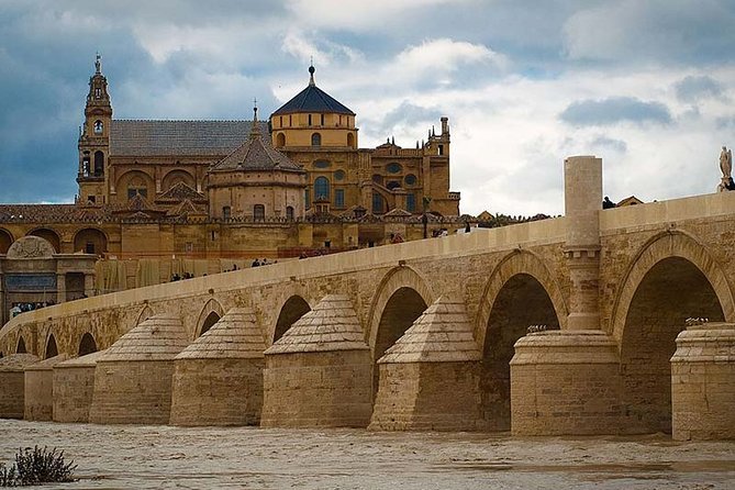 Cordoba private tour from Seville including the great Mosque for up to 8 persons - What the private format changes