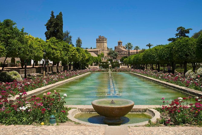 Cordoba private tour from Seville including the great Mosque for up to 8 persons - Is the $646.94 price fair?
