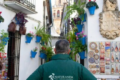 Cordoba Private Tour with Mosque Entrance from Seville