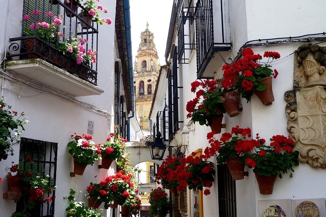 Cordoba & & The Mosque Small-Group Day Tour from Seville - Royal Stables and the Alcázar