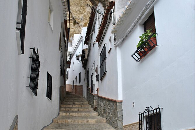 Day trip to Zahara, Setenil and Ronda from Seville - The minibus, timing, and physical demands
