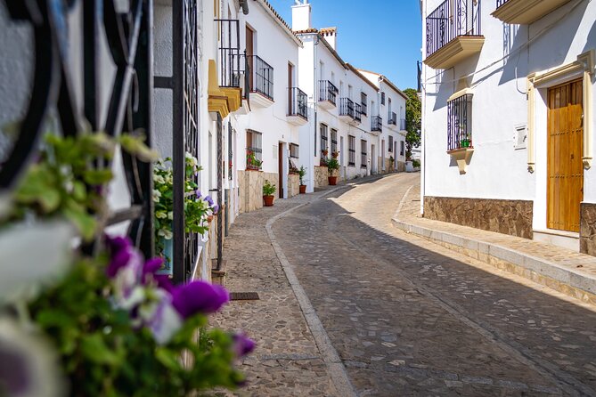 Day trip to Zahara, Setenil and Ronda from Seville - Should you book it?