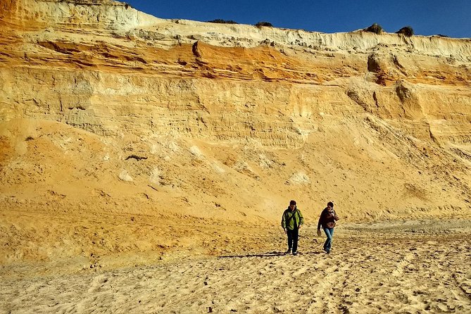 Donana National Park and El Rocío: Guided Tour from Seville - Why Doñana makes a worthwhile day from Seville
