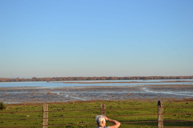 Donana National Park and El Rocío: Guided Tour from Seville - Dehesa de Abajo and the white storks
