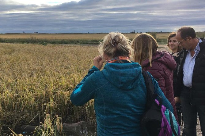 Donana National Park and El Rocío: Guided Tour from Seville - El Rocío, a village built for horses