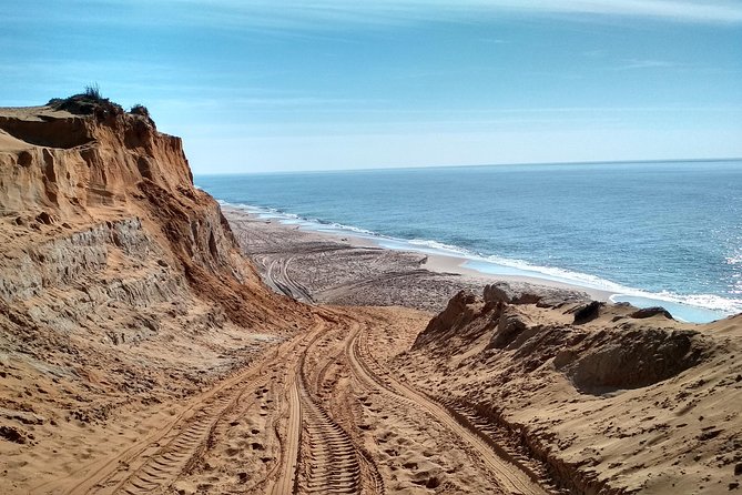 Donana National Park and El Rocío: Guided Tour from Seville - Palacio del Acebrón and La Rocina