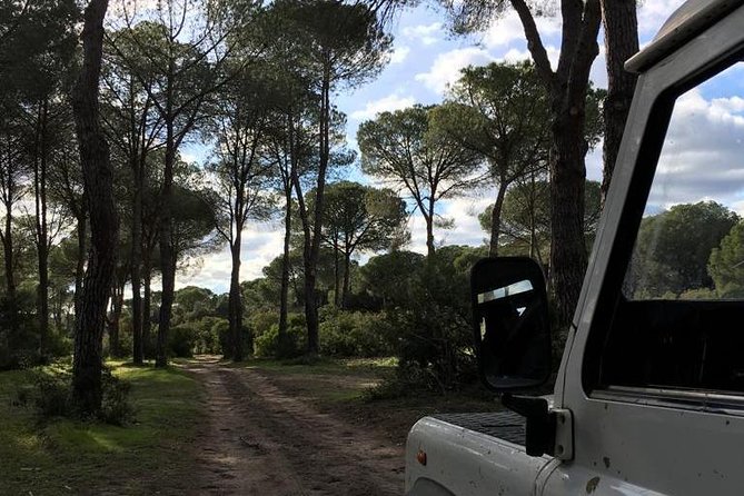 Donana National Park and El Rocío: Guided Tour from Seville - Lunch and the practical cost of the day