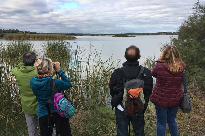 Donana National Park and El Rocío: Guided Tour from Seville - Matalascañas and the Atlantic dunes